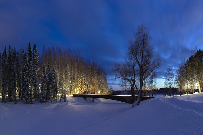 Entry to the Amazing Serlachius Museums in the Tampere Region - Location and Hours