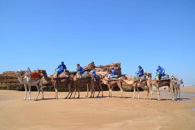Essaouira: 1/2 Day Camel Ride With Meal. - Experience Details