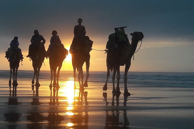 Essaouira 1 Hour Private Camel Ride - Tour Details and Requirements