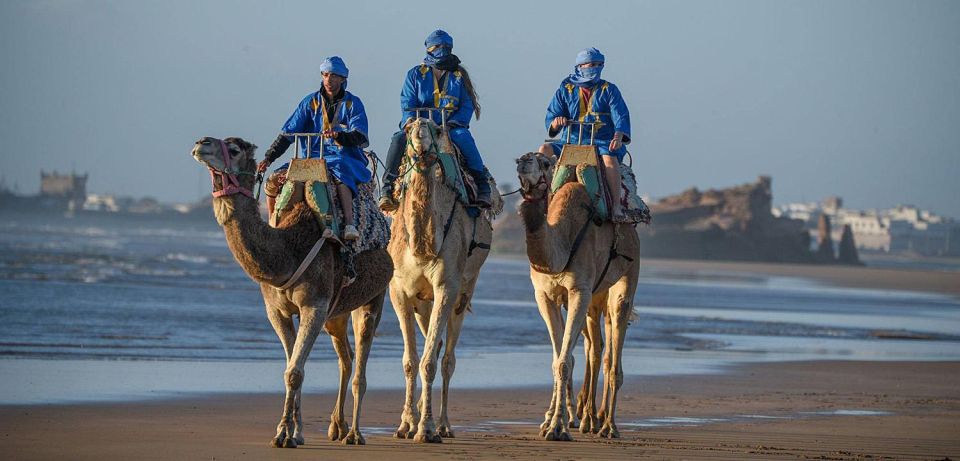 Essaouira: 2-Hour Camel Ride - Key Points