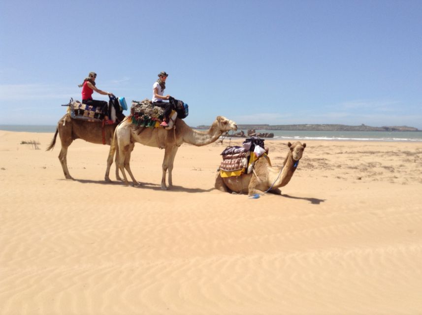 Essaouira: 3-Hour Dromedary Ride and Berber Tent Overnight - Key Points