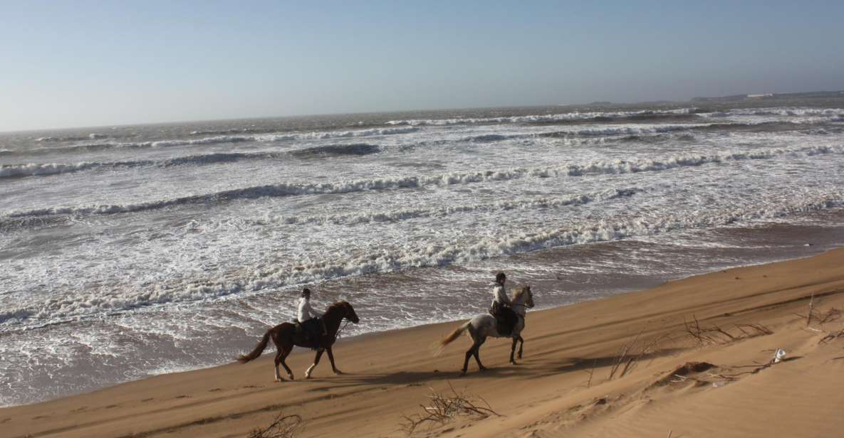 Essaouira: 3-Hour Horseback Ride - Key Points