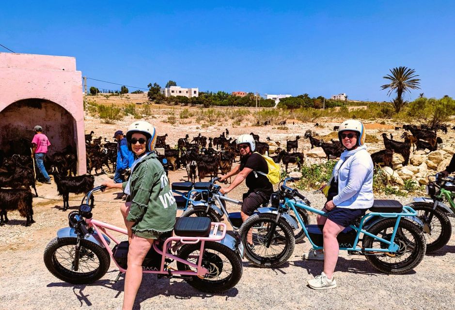 Essaouira: Area Highlights 3 Hours E-Bike Tour - Key Points