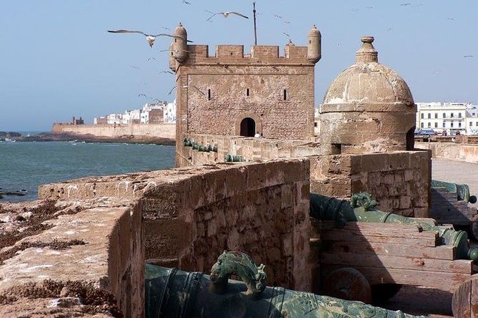 Essaouira Day Trip From Marrakesh - Trip Highlights