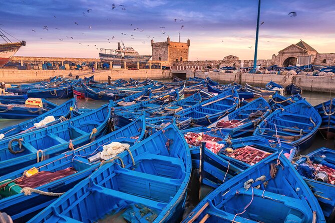 Essaouira Escapade: A Day of Discovery Along Moroccos Coastal - Key Points
