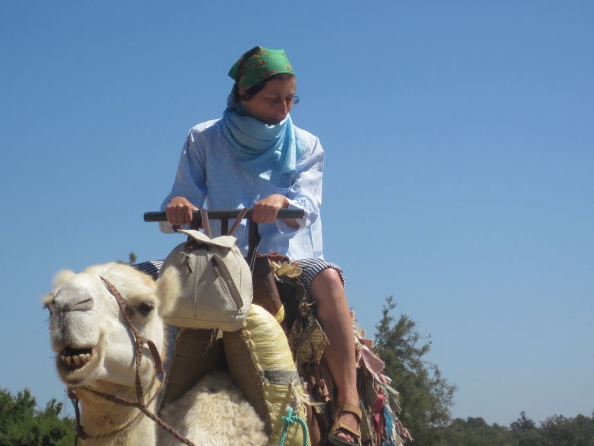 Essaouira: Guided 2h Dromedary Riding With Sunset - Key Points