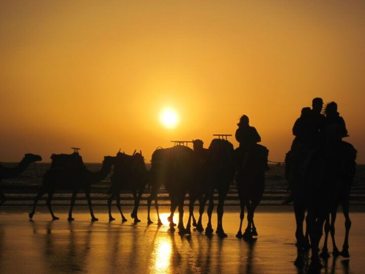 Essaouira: One Hour Dromedary Ride - Key Points