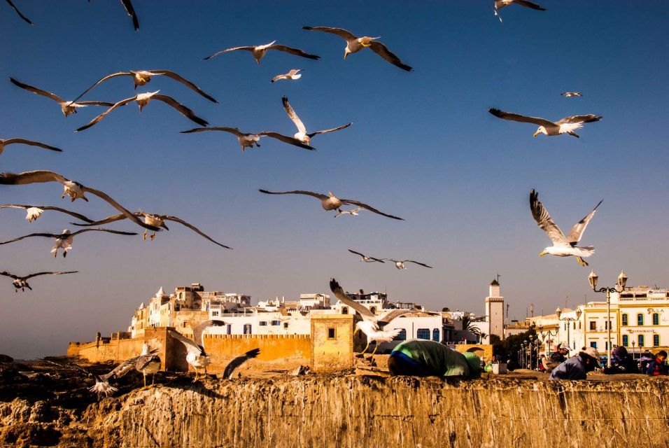 Essaouira Private Day Trip From Marrakech - Key Points