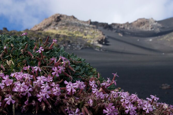 Etna Excursion Morning or Sunset and Visit Lava Flow Cave - Key Points