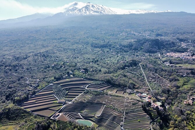 Etna Panoramic Private Tourwine Taste&Food Combination(Amazing) - Key Points