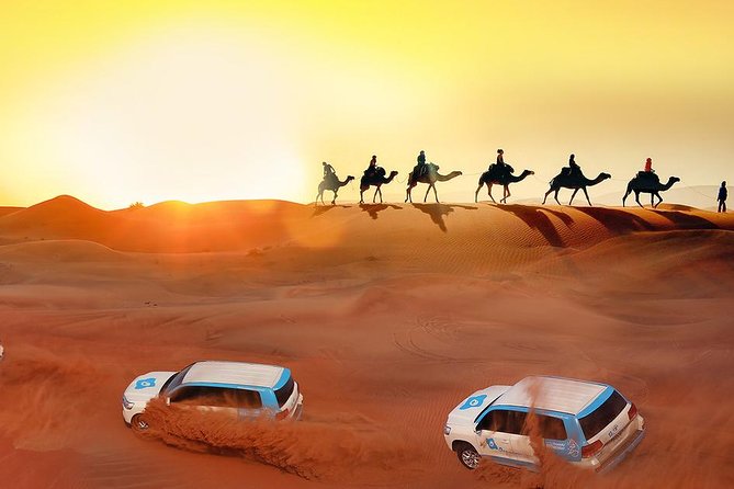 Evening Desert Safari With Camel Ride, BBQ Dinner and Dune Bashing - Desert Safari Experience Overview