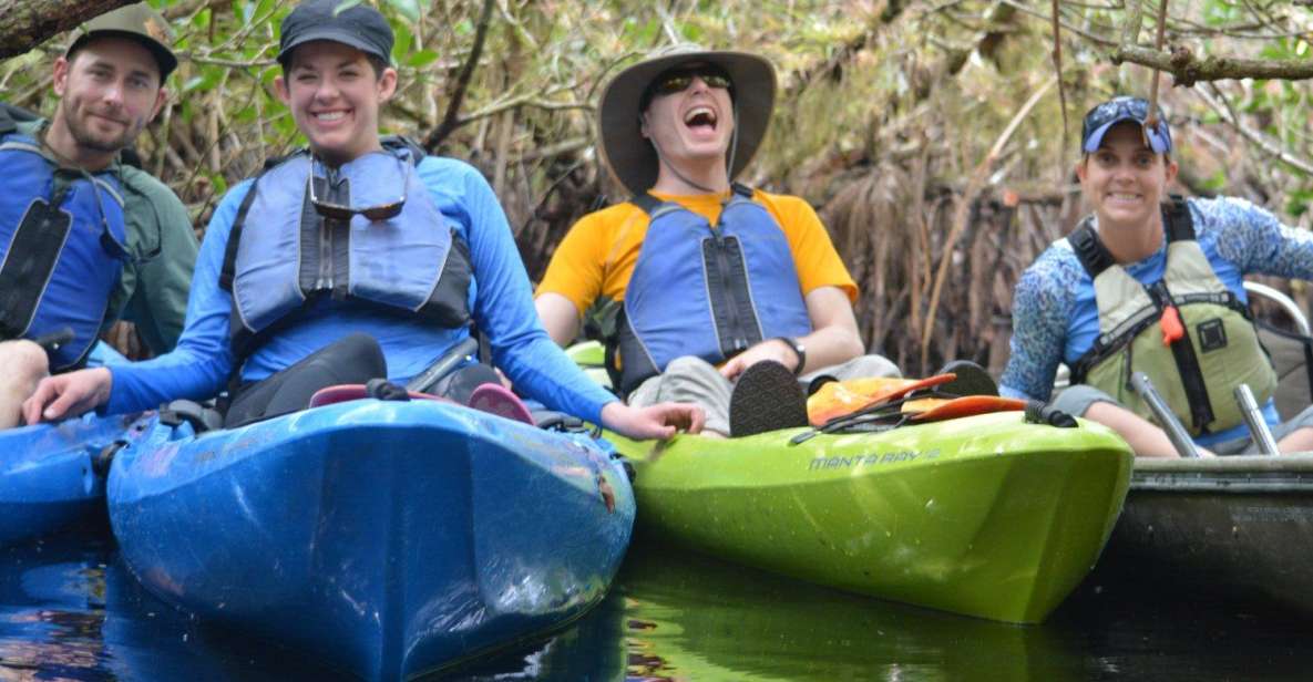 Everglades Kayak Safari Adventure Through Mangrove Tunnels - Key Points