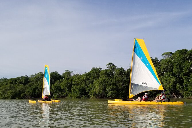 Everglades National Park Kayak/Learn to Sail Tour - Key Points