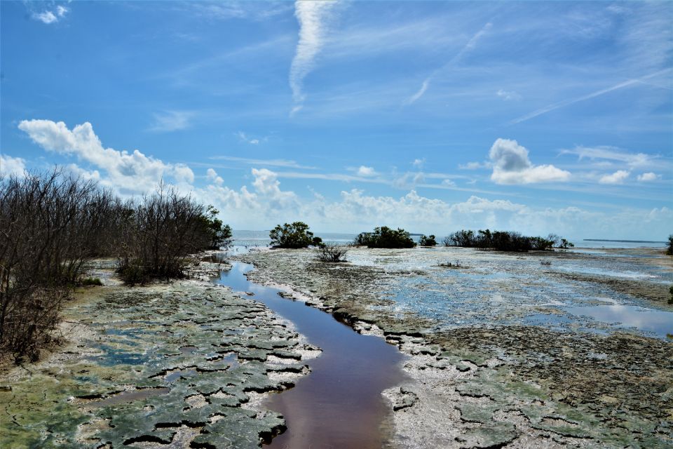 Everglades National Park: Self-Guided Driving Audio Tour - Key Points