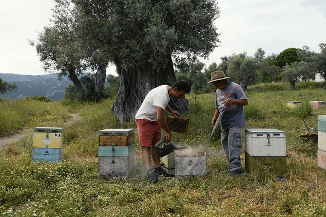 Evia Beekeeping Experience From a Local Beekeeper in Konistres - Key Points