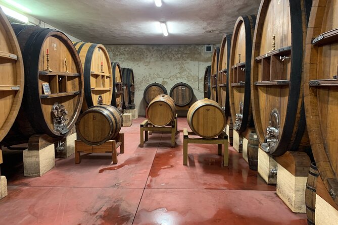 Excursion Day in the AOC Bandol Vineyards - Key Points