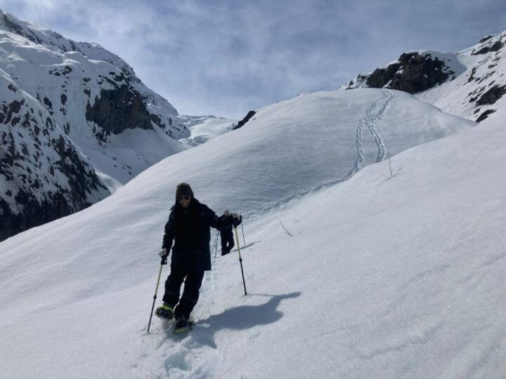 Exit Glacier Overlook Trail, Alaska, Alaska - Book Tickets & Tours - Key Points