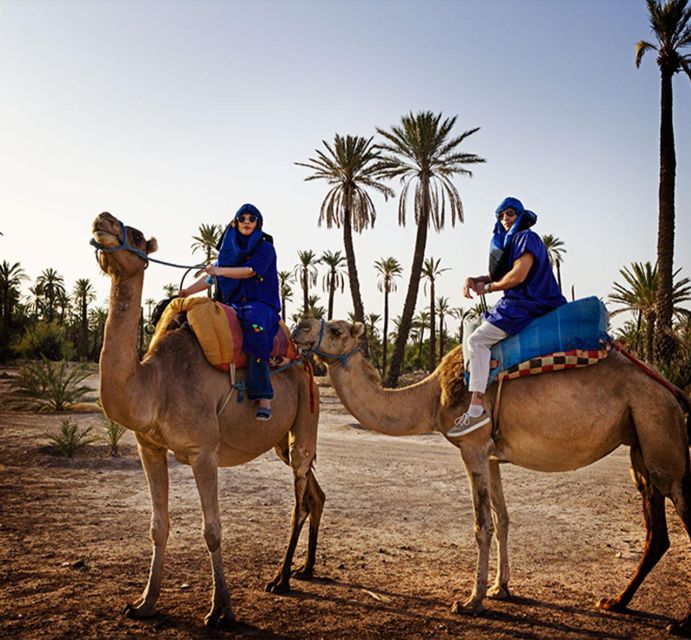 Experience a Camel Tour Through Palm Oasis and Jbilat Desert - Key Points