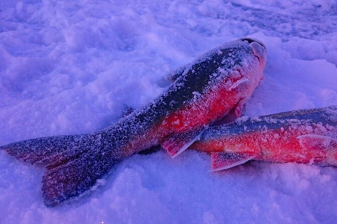Experience Ice Fishing and Hunt for Arctic Char - Key Points