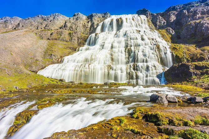 Experience Westfjords and Dynjandi Waterfall From Isafjordur Small Group Tour - Key Points