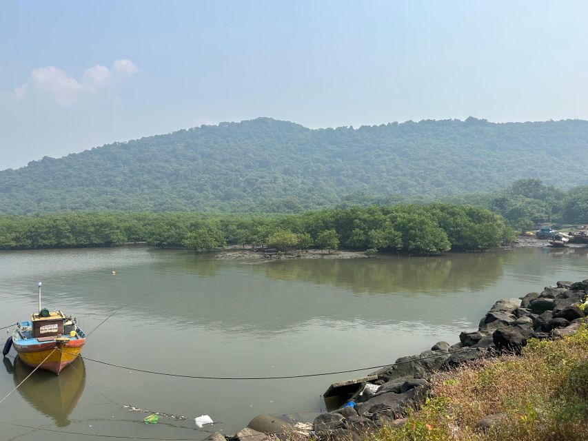 Explore Elephanta Caves Tour - Key Points