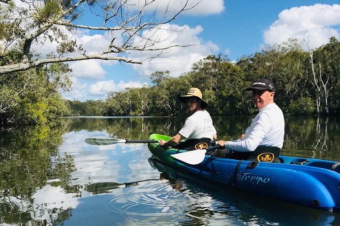 Explore Noosa by Kayak - Mangroves and Mansions - Key Points
