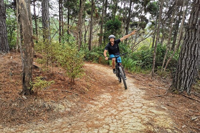 Explore the Waitangi MTB Park on Electric Bikes - Key Points