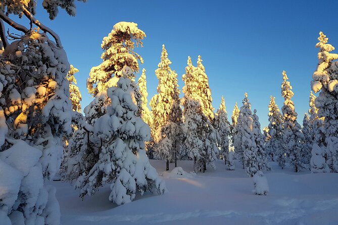 Explore the Wilderness With Snowshoes - Key Points