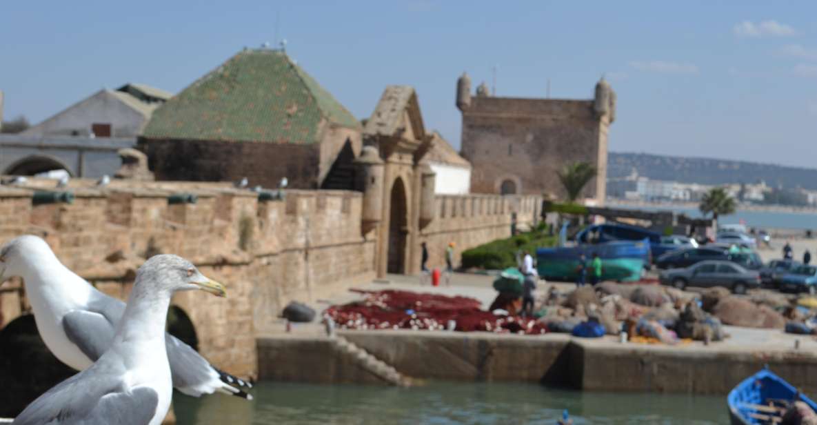 Exploring Essaouira: A One-Day Journey to the Charming Coast - Key Points