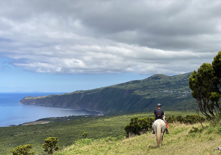 Faial Island: Horseback Riding on Lusitano Trail (1,5 Hr) - Key Points