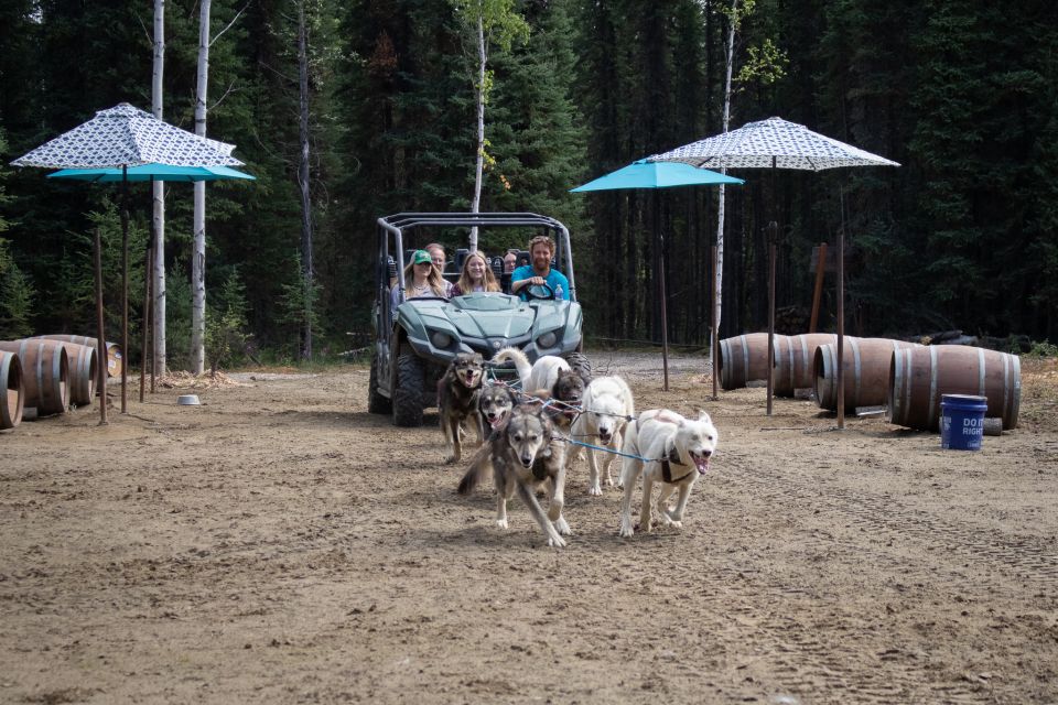 Fairbanks: Summer Mushing Cart Ride and Kennel Tour - Key Points