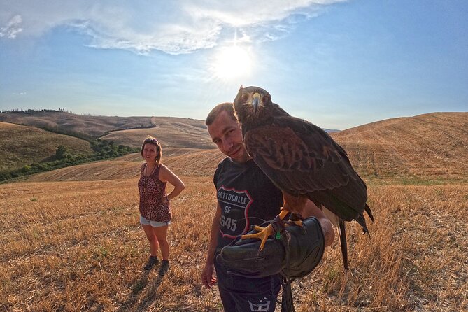 Falconry Experience in Tuscany - Key Points