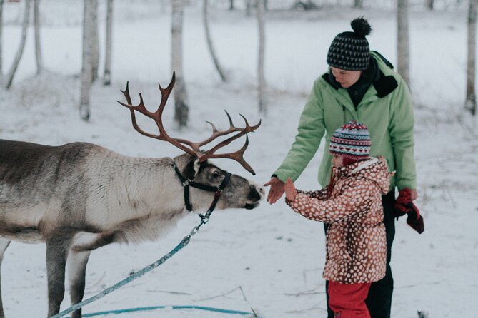 Family Day: Reindeer and Husky by Snowmobile in Levi - Tour Inclusions