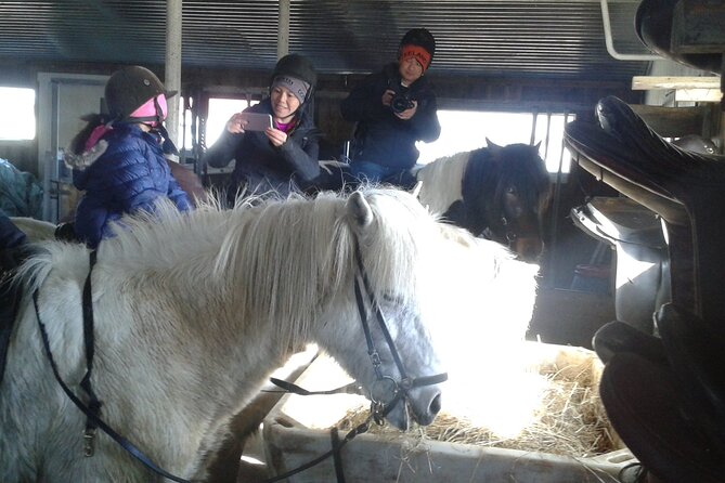 Family Horse Riding Tour in Thorlakshofn - Key Points