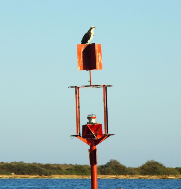 Faro: Pudim Real Boat Tour's 6-Hour Boat Tour to Ria Formosa - Key Points