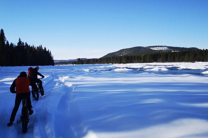 Fatbike Experience in Sorsele - Key Points