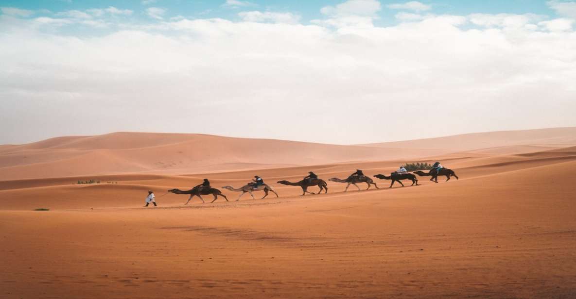 Fes: 3-Day Sahara Desert & Atlas Mountains Tour to Marrakech - Key Points