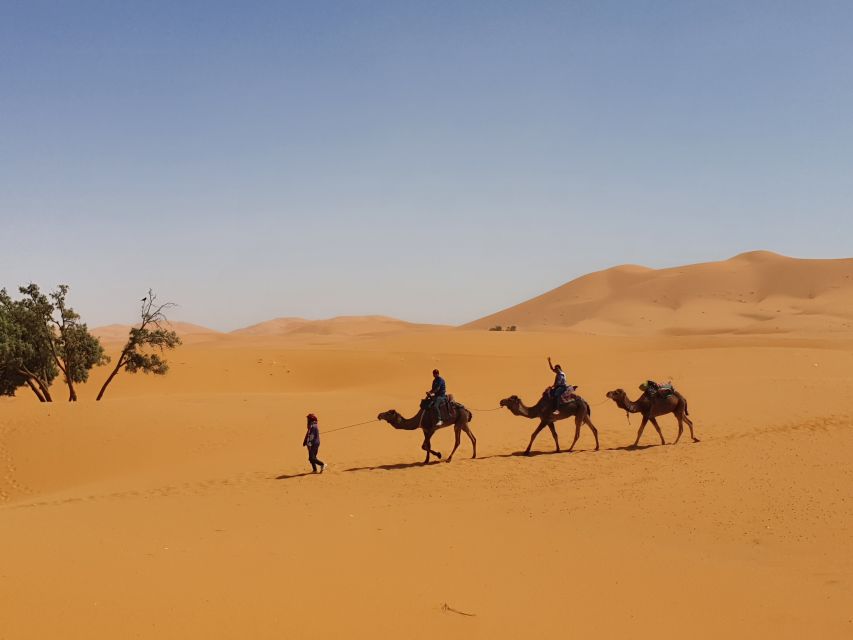 Fes: Merzouga Desert 2-Day Tour - Key Points