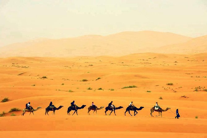 Fes to Marrakech 3 Days Desert Tour - Key Points