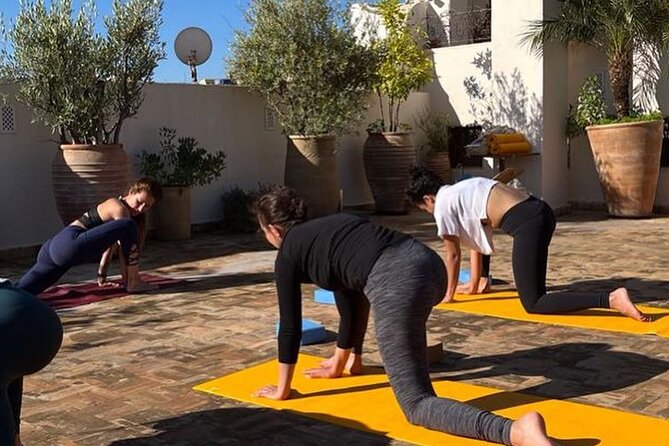 Fez Yoga Class at Palais Bab Sahra - Key Points