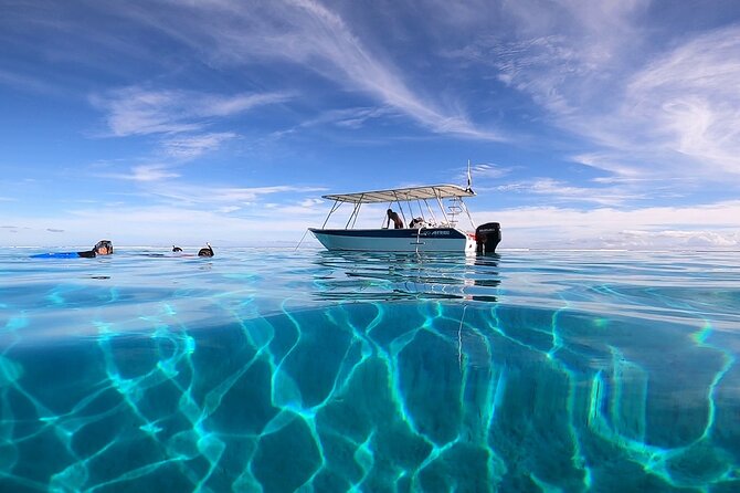 First Dive in the Beautiful and Quiet Maraa Lagoon (Paea - Tahiti) - Key Points