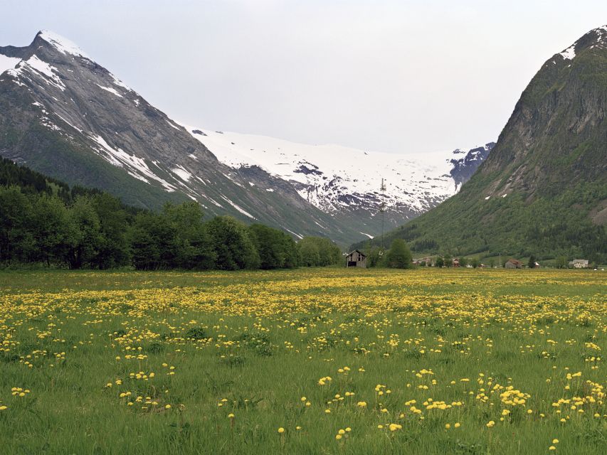 Fjords: Private Trip With Train and Cruise Ride - Key Points