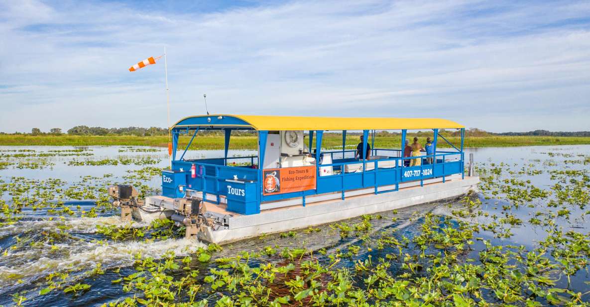 Florida: 90 Minute Everglades Cruise - Key Points