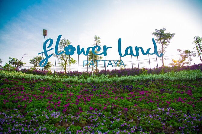 Flower Land Pattaya Admission Ticket With Return Transfer - Key Points