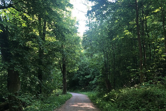 Forest Hike in Heidelberg - Key Points