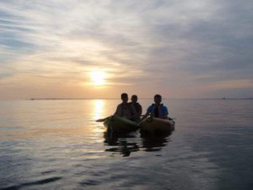 Fort Myers: Guided Sunset Kayaking Tour Through Pelican Bay - Key Points