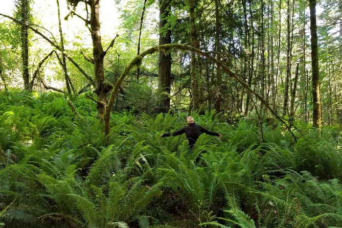Francis King Regional Park Forest Bathing  - Vancouver Island - Key Points