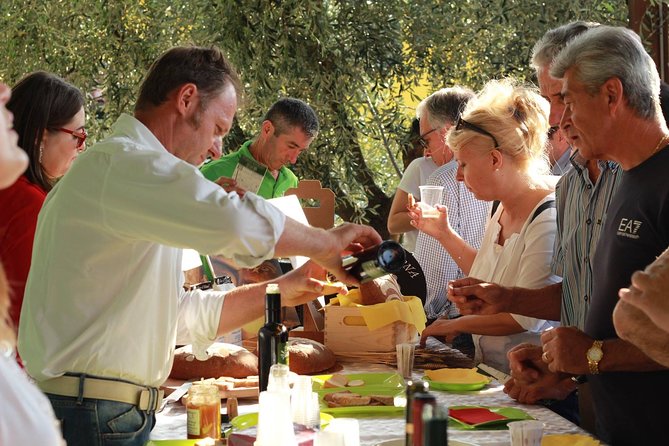 From Abano Montegrotto Olive Oil & Wine in the Euganean Hills - Key Points