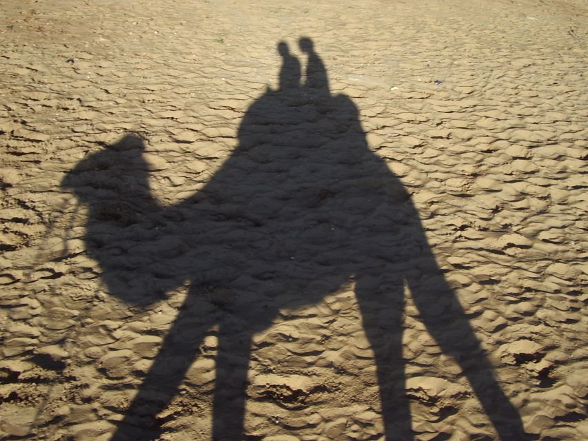 From Agadir: Camel Ride and Flamingo Trek - Key Points
