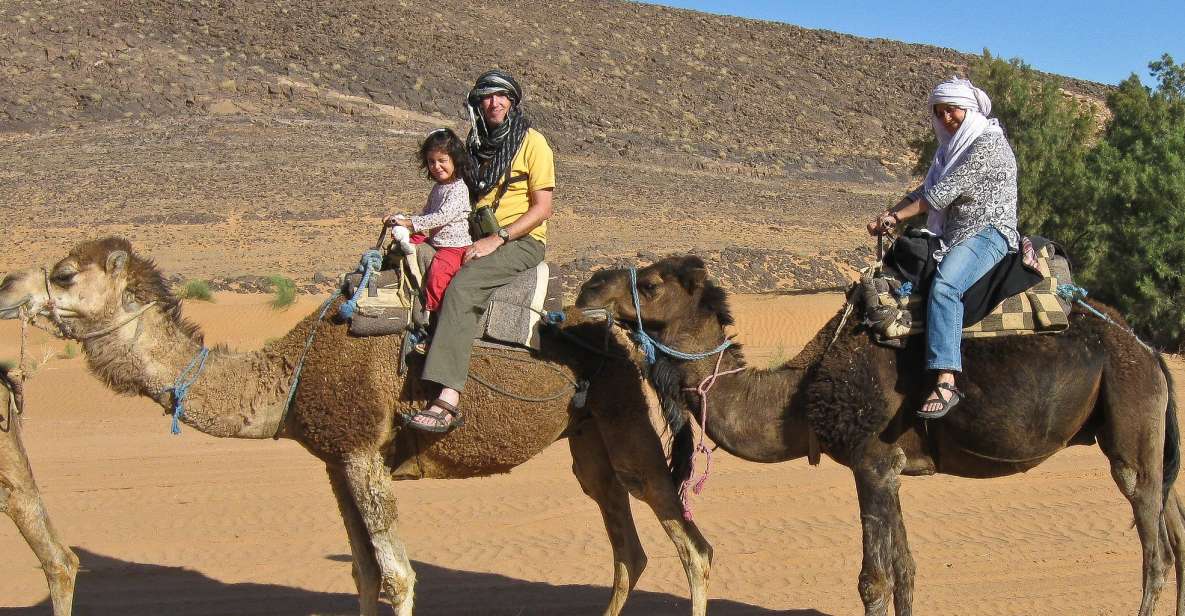 From Agadir: Camel Ride and Flamingo Trek - Key Points